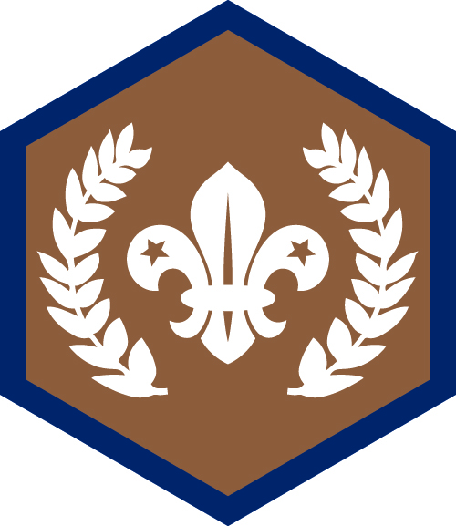 Chief Scouts bronze badge