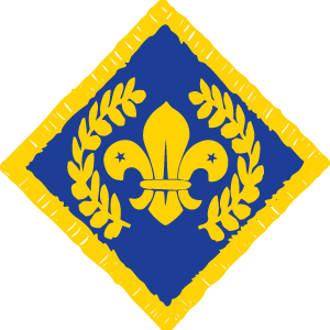 Chief Scouts platinum badge
